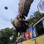 Joli Le Pavachon Jardin Et Terrasse A 3 Min Du Puy Du Fou Apartament