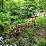 Joli Le Pavachon Jardin Et Terrasse A 3 Min Du Puy Du Fou * Les Épesses