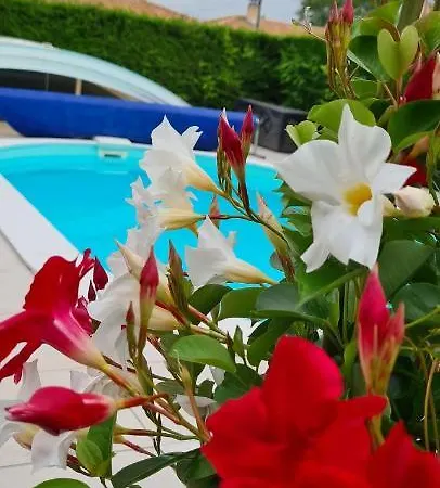 Le Pavachon, Piscine Familiale Chauffee - A 3 Min Du Puy Du Fou Apartment *