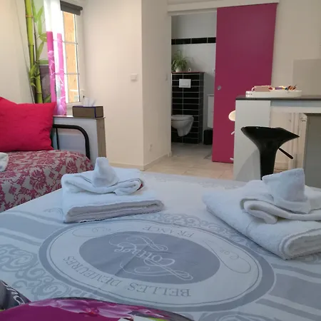 Jolie Le Pavachon A 3 Min Du Puy Du Fou