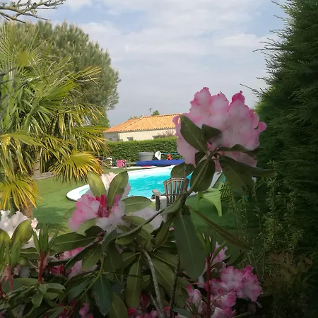 Jolie Le Pavachon A 3 Min Du Puy Du Fou * Les Épesses