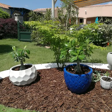 Apartment Joli Le Pavachon Jardin Et Terrasse A 3 Min Du Puy Du Fou Les Épesses