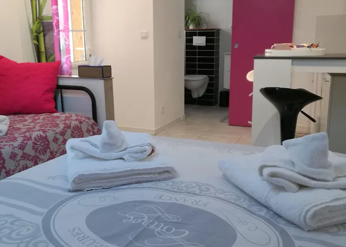 Jolie Le Pavachon A 3 Min Du Puy Du Fou