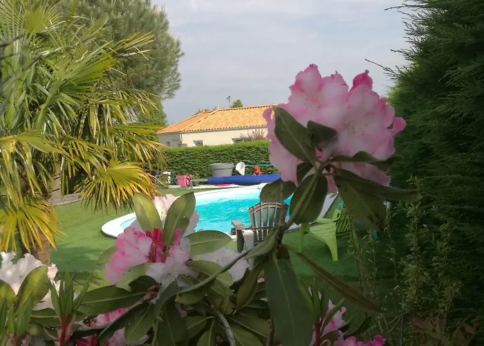 Jolie Le Pavachon A 3 Min Du Puy Du Fou * Les Épesses