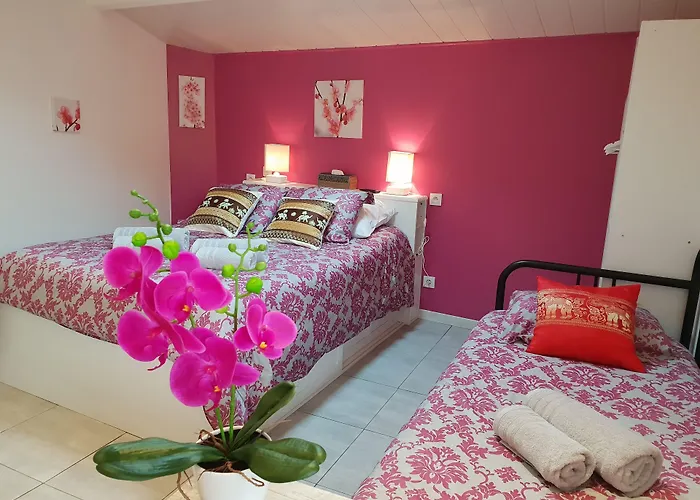 Jolie Le Pavachon A 3 Min Du Puy Du Fou